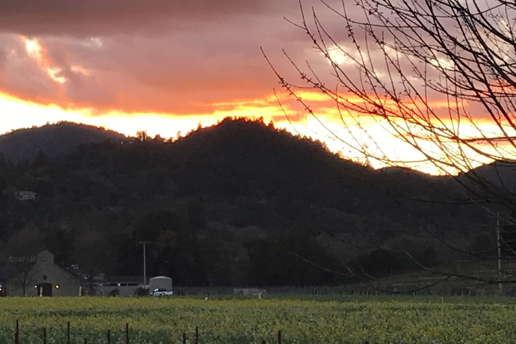 A Stunning Sunset over Amista Vineyards