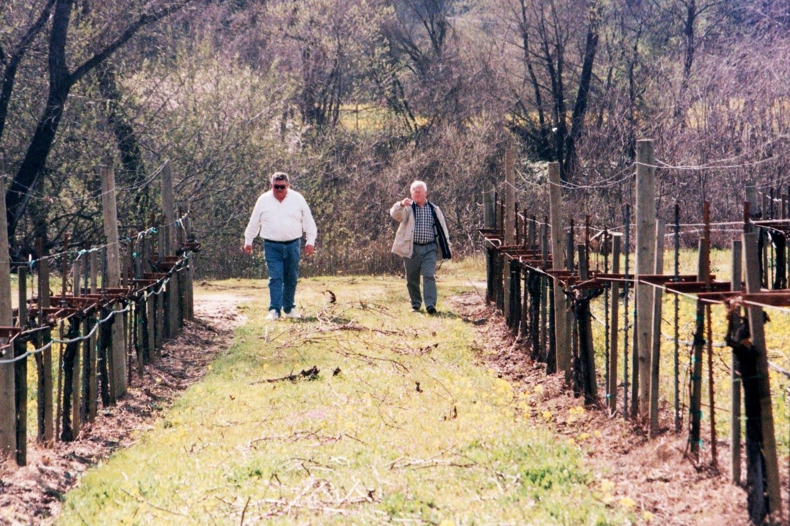 Dale & Mike in the Vineyard, Future Home of Amista