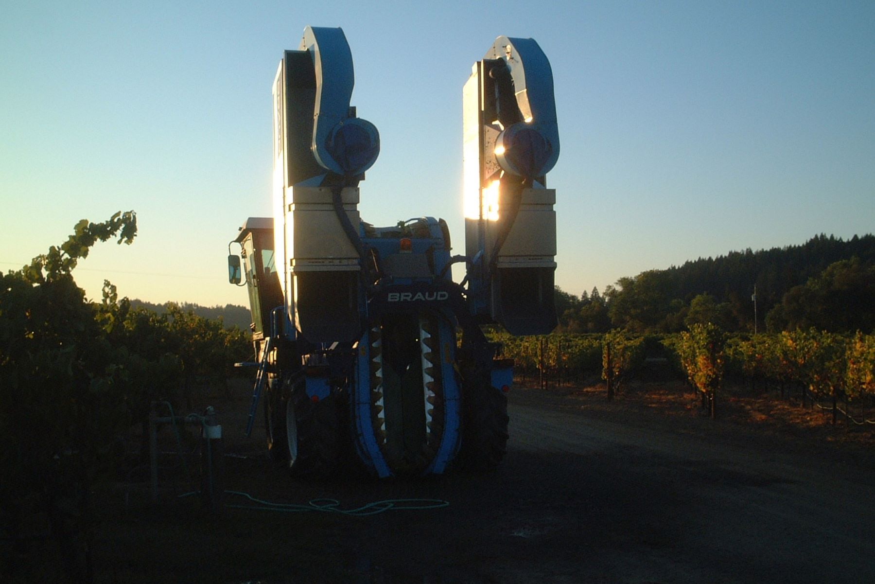 Syrah Harvest Machine Harvester Amista Vineyards