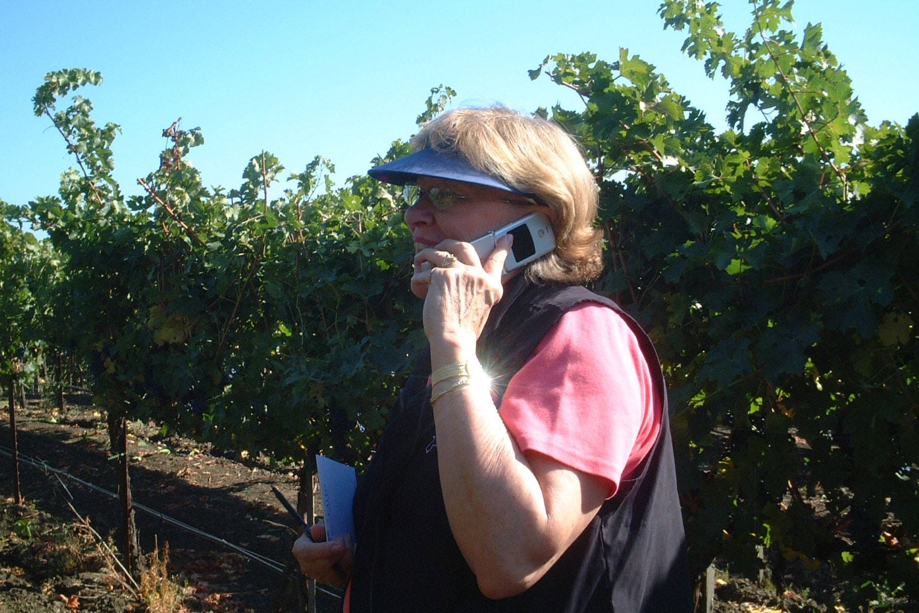 Meg in the Vineyard, Amista Vineyards, Healdsburg CA