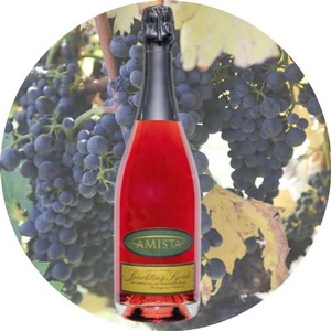 Amista Sparkling Syrah