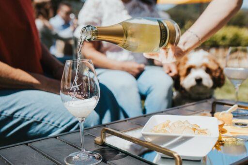 Why We Love Healdsburg
