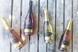 Amista Vineyards – Sonoma Sparkling Wineries – Discover 10 Of The Best