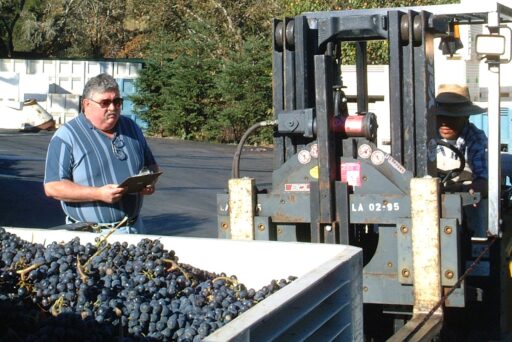 Syrah, Serendipity and the Shaping of Amista