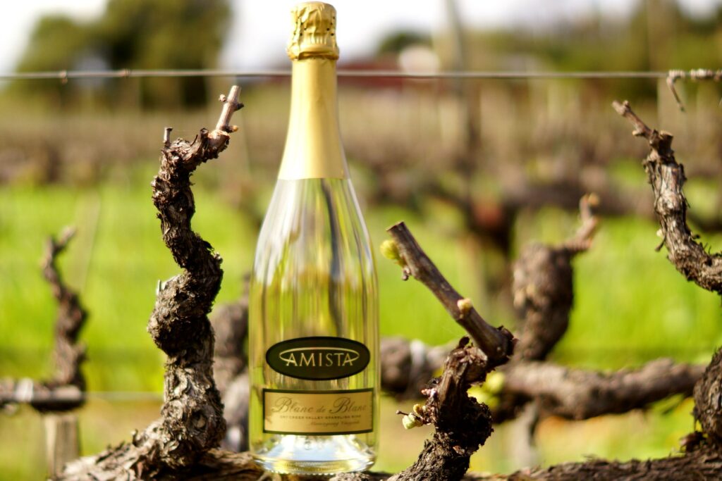 Amista Vineyards bottle of sparkling Blanc de Blanc sitting in gnarled grape vines with small buds beginning to break