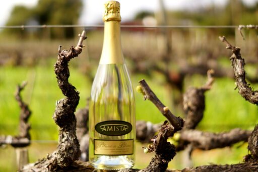 bottle of Amista Sparkling Blanc de Blanc sitting in a gnarled grape vine
