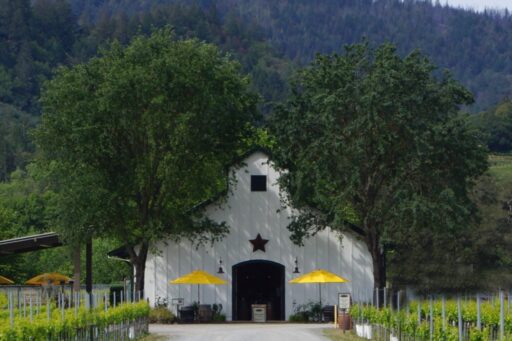 Secrets of the Amista Wine Tasting Barn
