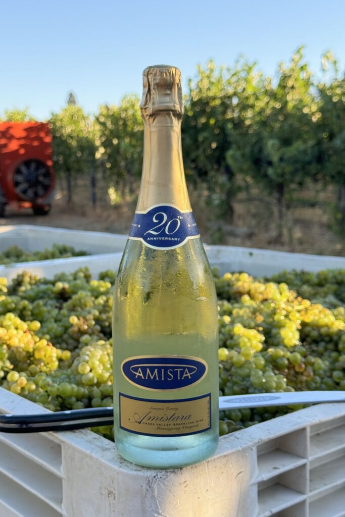 a bottle of Amista sparkling Amistara wine, 20th anniversard edition sitting on a bine of green grapes with a saber an vineyards in the background