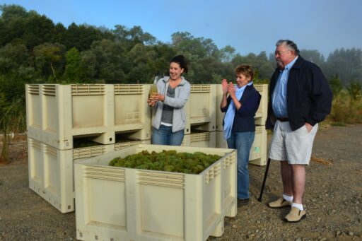Sparkling Wine in Sonoma?