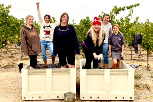 7 Hot Tips for Stomping Grapes