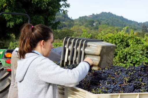 Ashley Herzberg, Amista Winemaker, Featured in Winemaker Moms