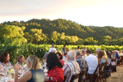 people seated at a long table among the vines as the sun sets at at Amista Dinner in the Vineyard