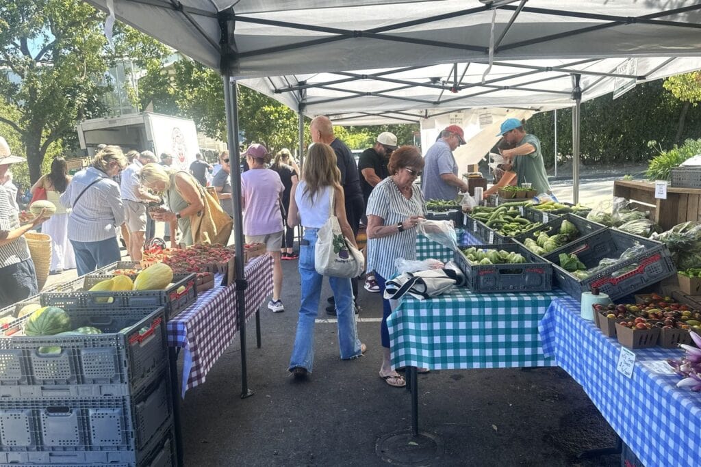 Fresh Produce and Shoppers at Healdsburg Farmer's Market